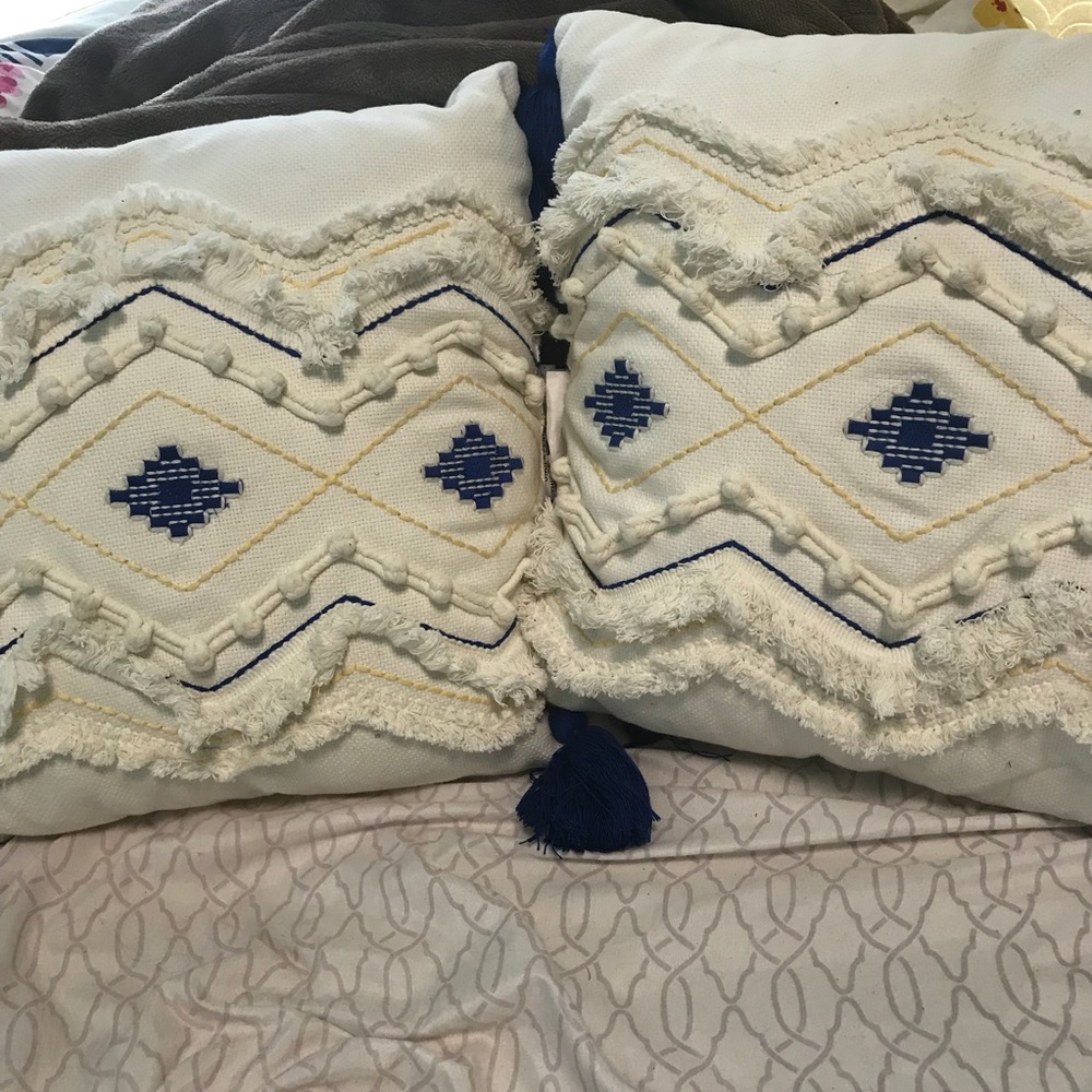2 tassel throw pillows